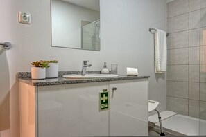 Shower, hair dryer, bidet, towels