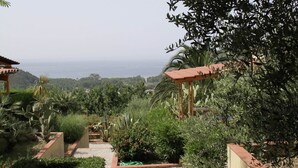 Property grounds - Cilento Getaway w/ Terrace (Palinuro)