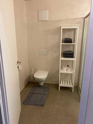 Shower, hair dryer, towels, toilet paper