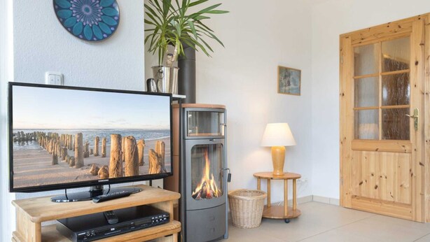 A living room with a television, a fireplace, a wooden door, and a plant. - House half 11 Dune 11 (ID 420) (Sankt Peter-Ording)