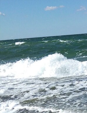 Imagem sem classificação, 4 de 16, botão