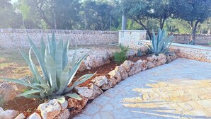 A stone pathway bordered by a low stone wall and large agave plants. - ROMANTIC OR FAMILY RENTAL (Ceglie Messapica)