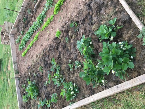 Clos du Bannet Family Escape