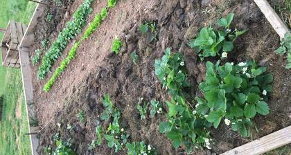 Clos du Bannet Family Escape