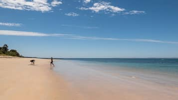 Una spiaggia nelle vicinanze