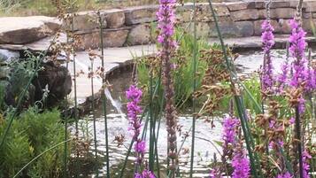 Jardines del alojamiento