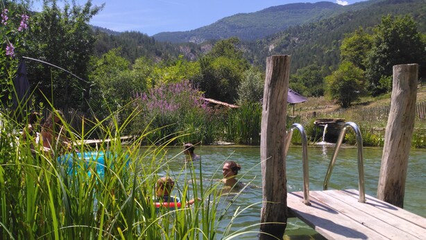 A wooden dock extending into a clear pool surrounded by lush greenery and a mountainous backdrop.