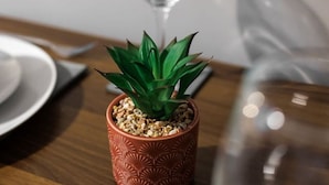 A small potted plant on a wooden table with a wine glass in the background.