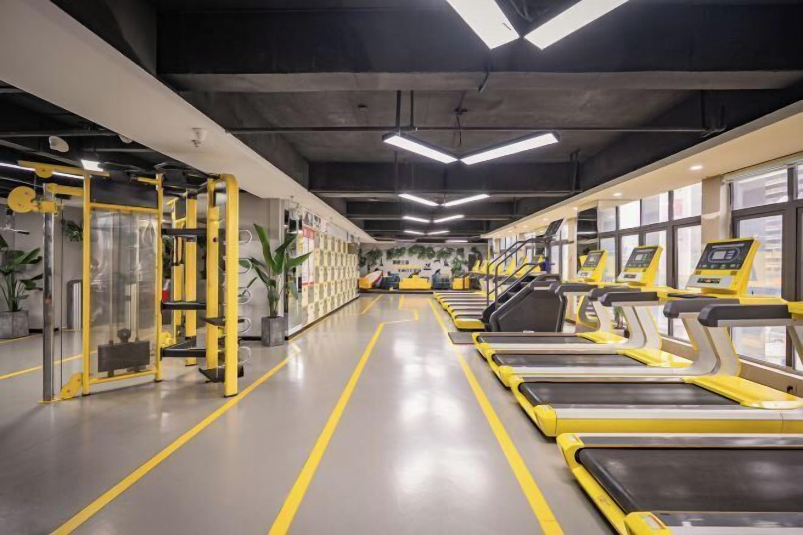 Salle de sport