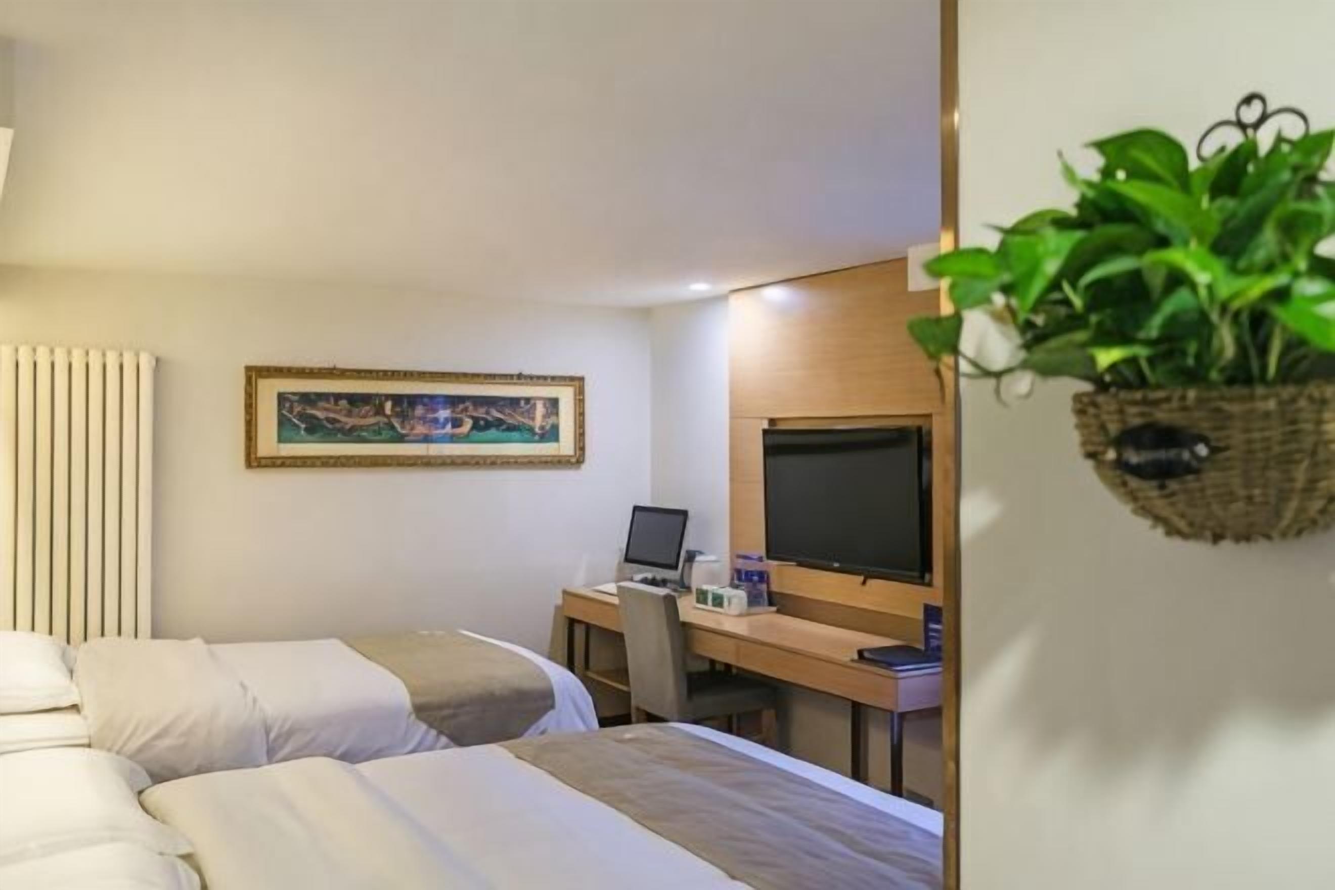 A hotel room with two beds, a desk with a computer, a TV, and a wall-mounted plant.