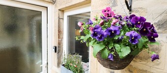 Robin Cottage - 2 The Meadows