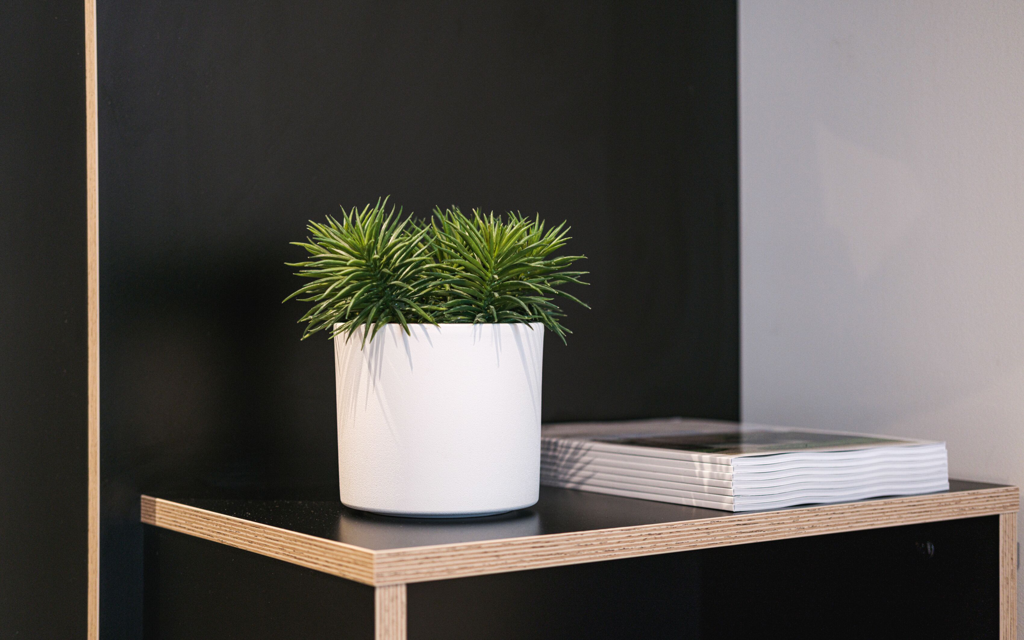 A white potted plant on a black surface with a stack of books beside it.