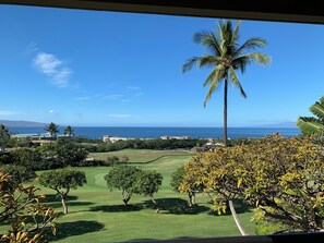 A view of a golf course with a palm tree and a clear blue sky.