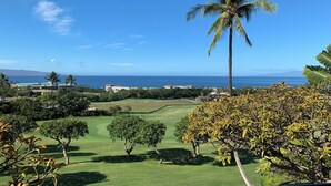Blick auf einen Golfplatz mit einer Palme und blauem Himmel.