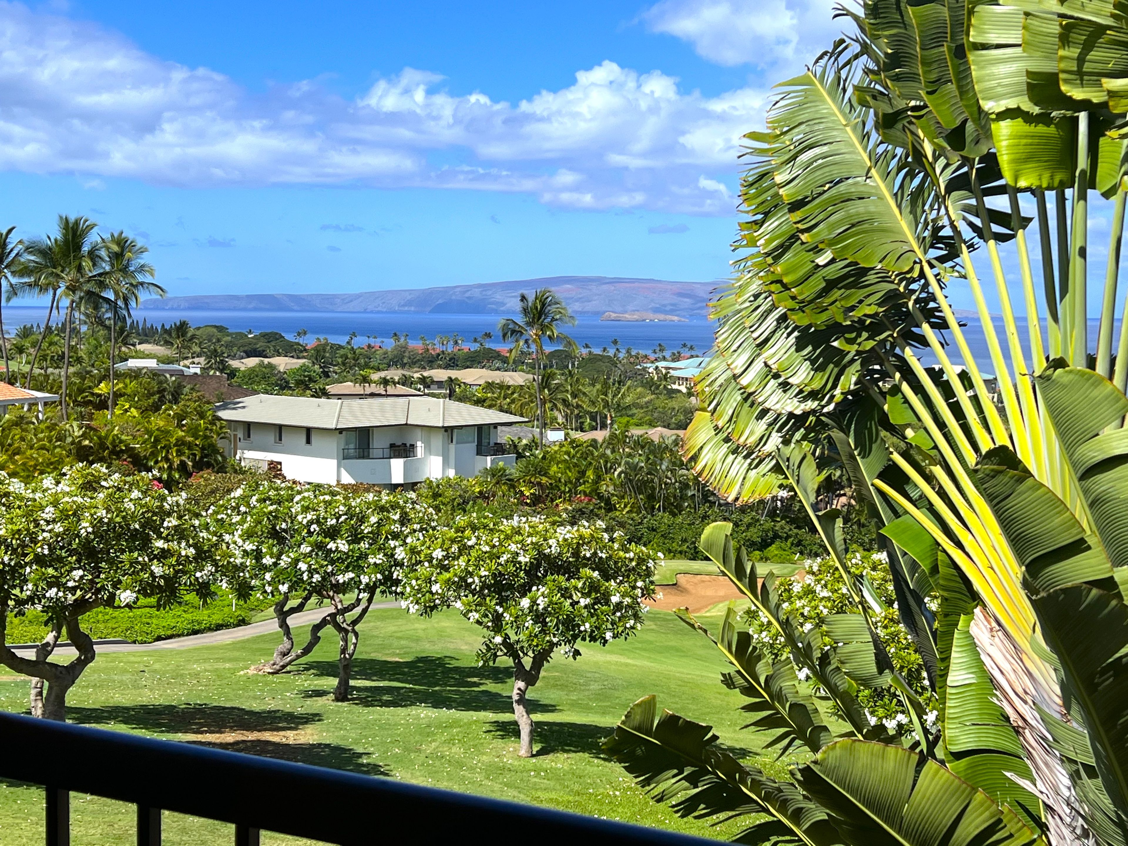 A view of a residential area with a white house, lush greenery, and a distant view of the ocean and mountains.