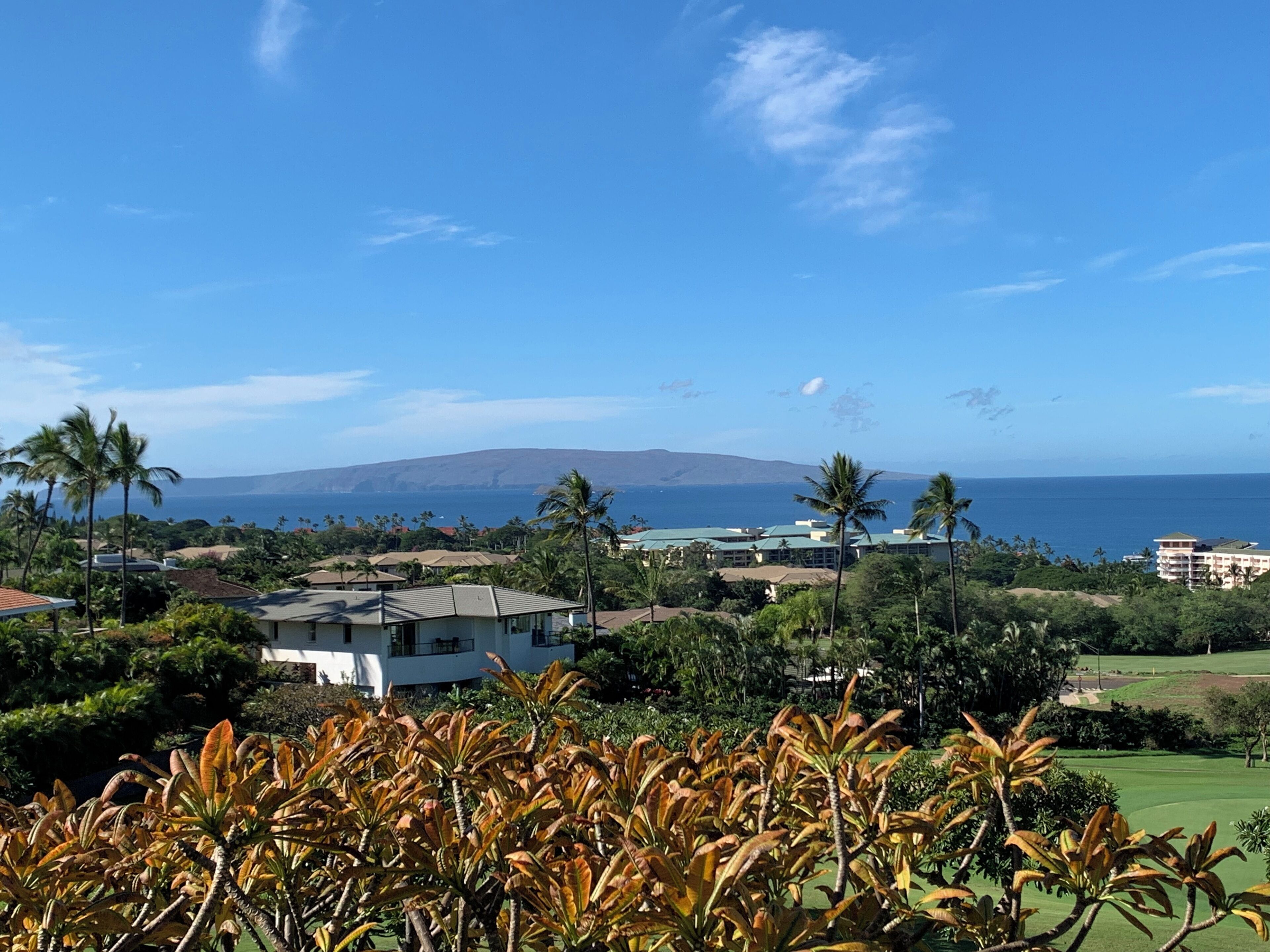 Un quartier résidentiel en bord de mer, avec des maisons, des palmiers et une vue sur l’océan et une montagne au loin.