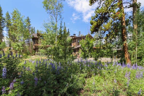 タウンホーム 4 ベッドルーム | 施設の敷地