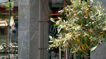 A hotel entrance with a marble facade, a sign reading "DIAS HOTEL", and a potted plant with red flowers in front.