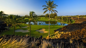 Ein Golfplatz mit Teich, Palmen und blauem Himmel.