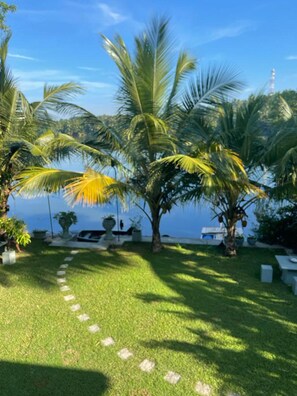 Property grounds - Morning Guest can see Momkeyies and Birds (Galle)