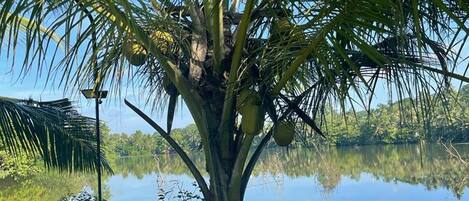 Apartment, Multiple Beds | Property grounds