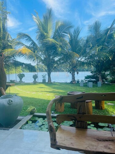 Morning Guest can see Momkeyies and Birds