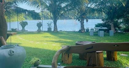 Morning Guest can see Momkeyies and Birds