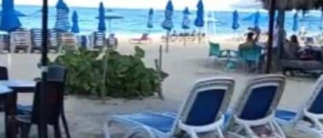 Plage à proximité, chaises longues, serviettes de plage