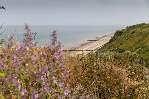 Overcliff Lodge Boutique Beachside Property