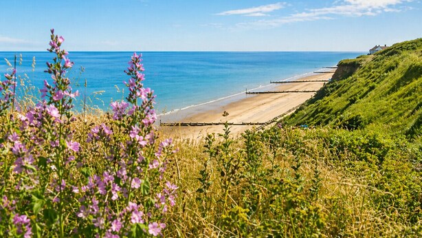 A coastal landscape with a beach, grassy hill, and wildflowers. - Spacious 12-Bedroom Coastal Retreat Private Annex (Mundesley)
