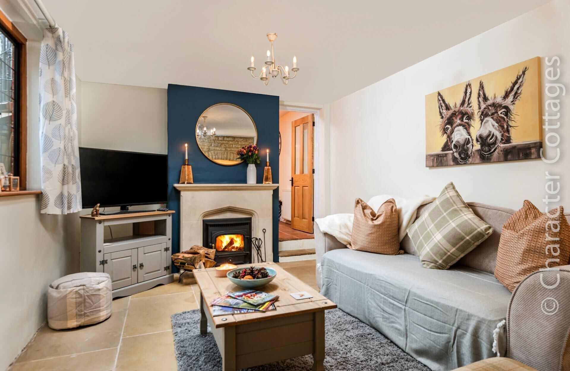 Een knusse woonkamer met een open haard, een televisie en een bank met kussens.