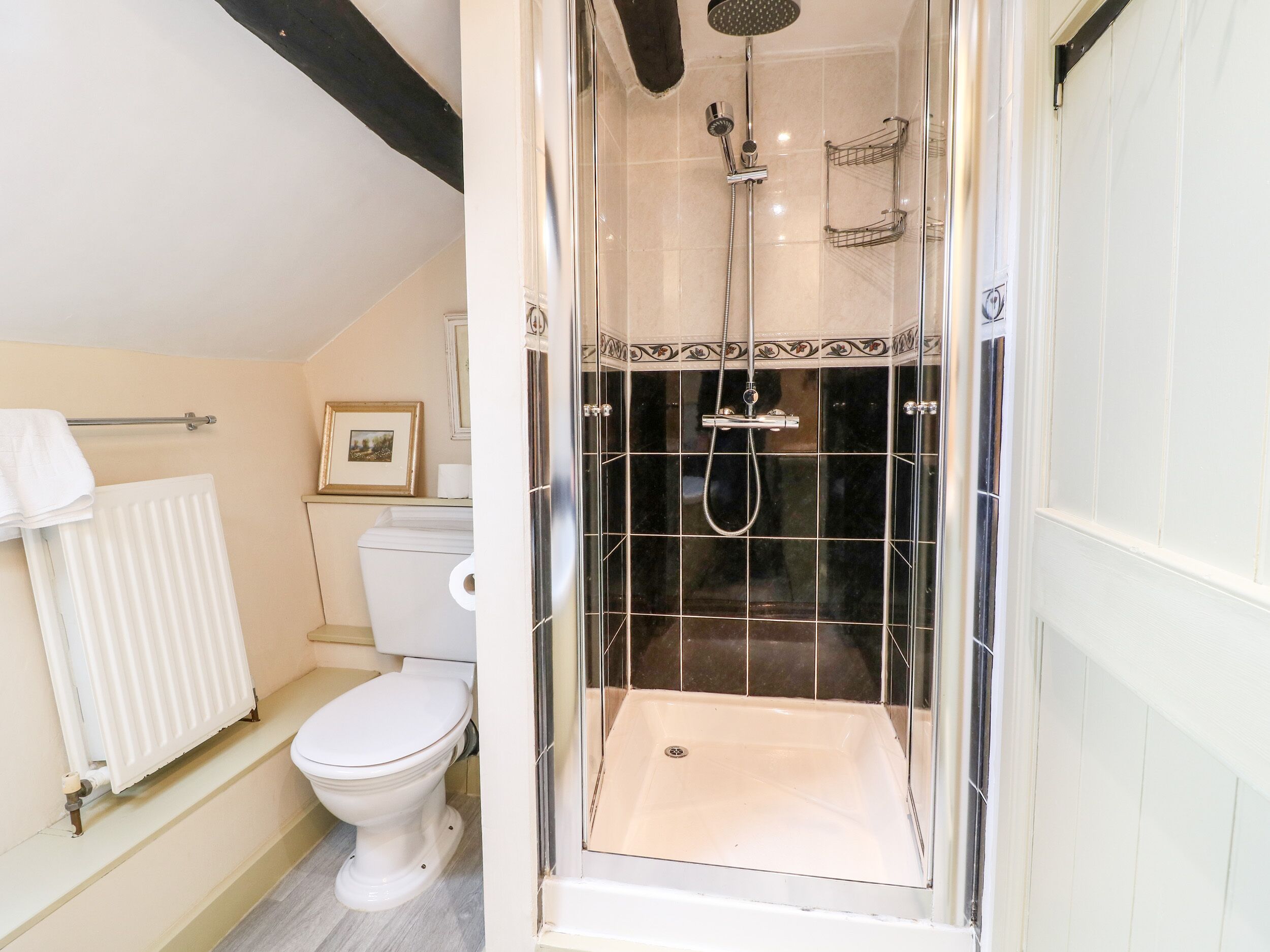 A bathroom with a shower, toilet, and radiator.