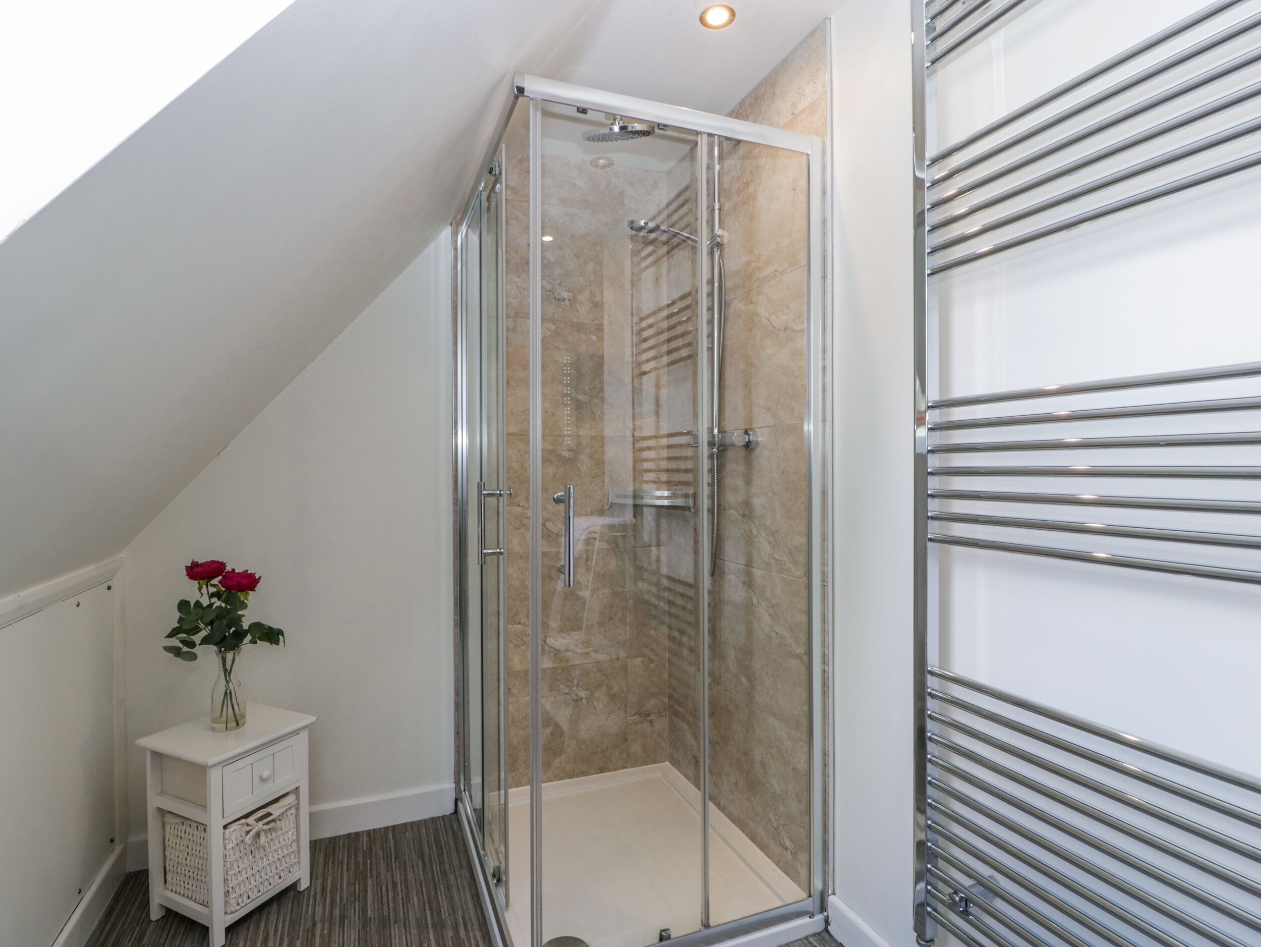 Shower, hair dryer