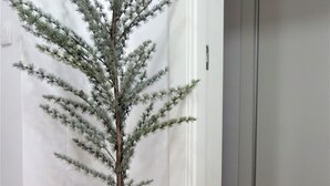 A small conifer tree in a woven basket on a wooden floor near a white door. - Santa Marta Apartment by Trip2Portugal (Lisbon)