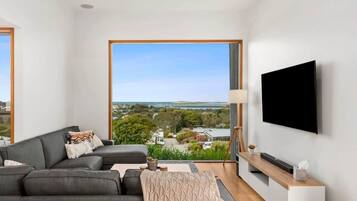 Televisión, libros y oficina