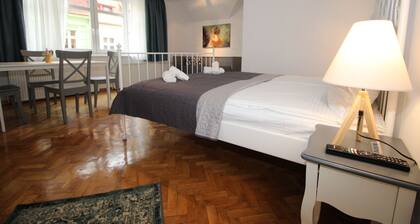 Tampa View - one-bedroom apartment in center of Brasov