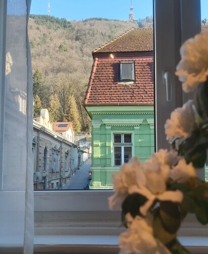 Tampa View - one-bedroom apartment in center of Brasov
