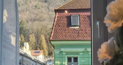 Tampa View - one-bedroom apartment in center of Brasov