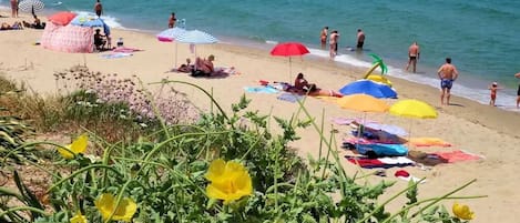 Una spiaggia nelle vicinanze