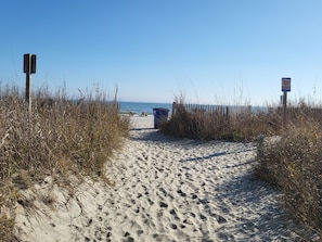 On the beach, sun-loungers