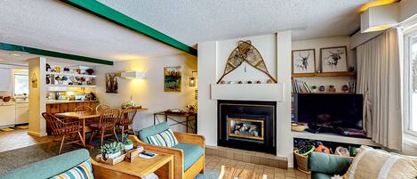 電視、壁爐、DVD 播放機、書籍