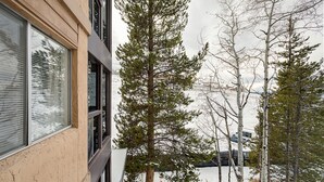 A building with large windows, a snowy landscape, and trees.