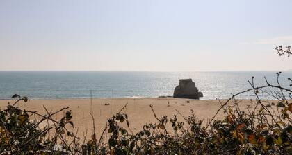 Wheal Prosper@the West Dry