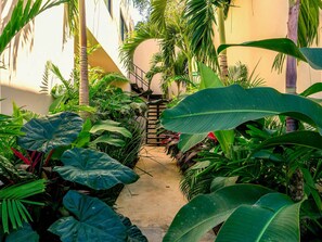 Un étroit sentier bordé d’une végétation tropicale luxuriante mène à un escalier.