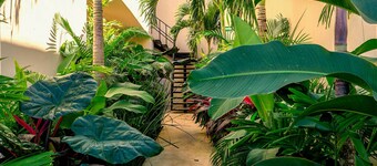 Mayanah Condohotel Bacalar