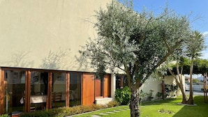 A modern building with large glass windows, a well-maintained lawn, and a tree in the foreground.