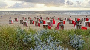 A beach with numerous small, uniform beach huts arranged in rows. - Pura Vida Panorama : Enjoy life ! (Oud Ade)