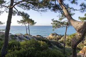Enjoy breathtaking views of the sea from this serene coastal landscape.