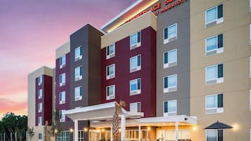 Vista des de l'allotjament