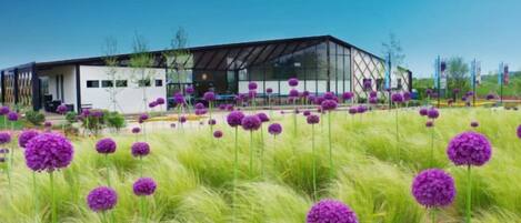 Un edificio moderno con fachada de vidrio y un campo verde con flores moradas al frente.